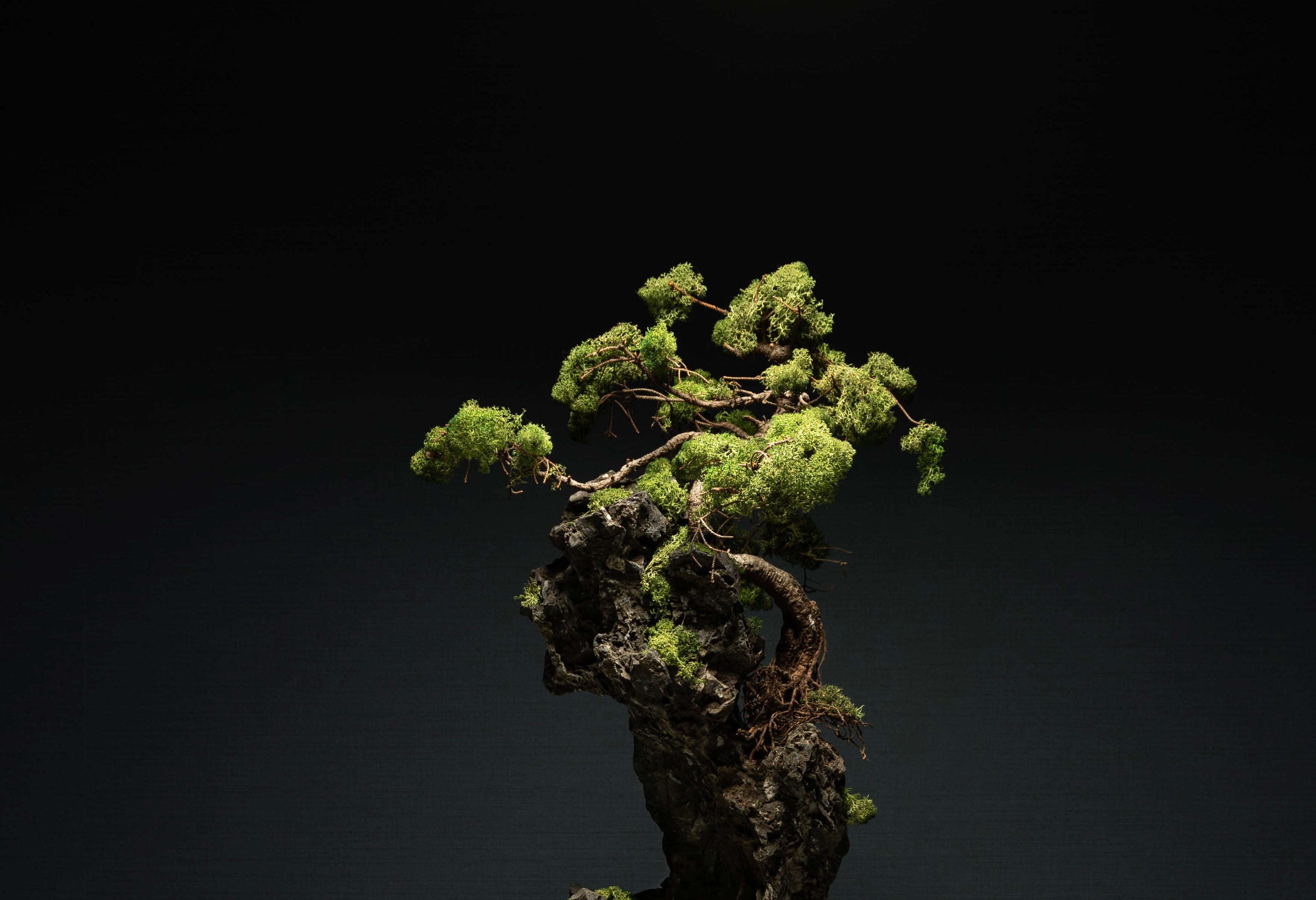 絵画 bonsai bonsai(SM) – Kuronuma Art